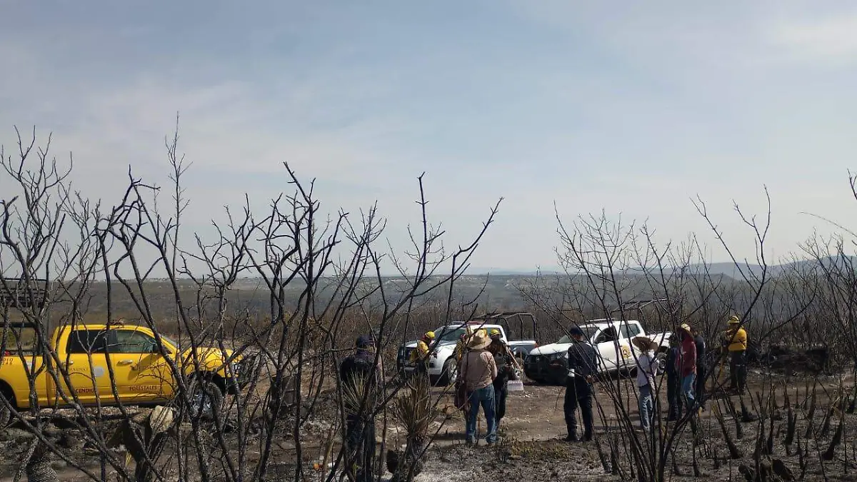 Controlados incendios en la Mixteca